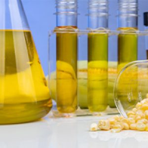 اتانول، خمیرمایه
