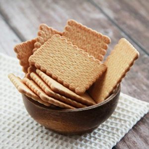 biscuit